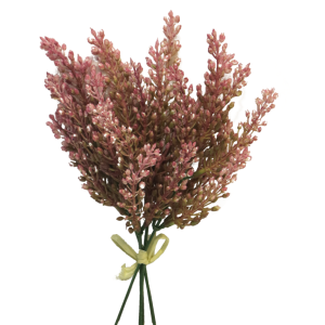 Astilbe búnt