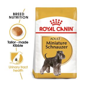 Miniature Schnauzer Adult