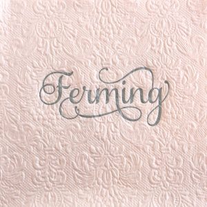 Pale pink upphleyptar servíettur - silfur letur