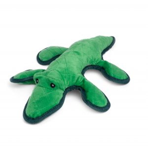 Krókdíll, harðgerður bangsi