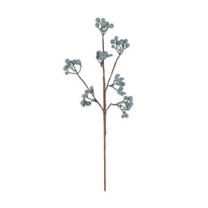 Berjagrein 50 cm - blá/græn