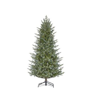 Ardley gervijólatré