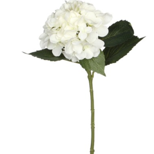 Hydrangea hvít - l51cm