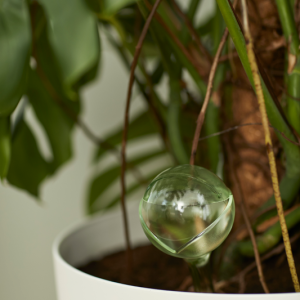 Vatnskúla - Aqua cape