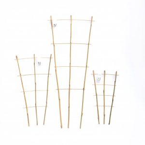 Plöntustoð - bambus