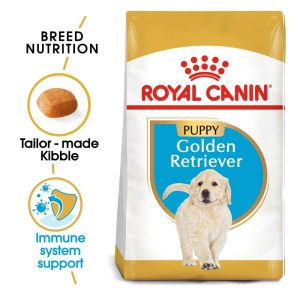 Golden Retriever Puppy - 12kg