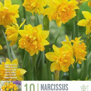 Tete Double fylltir - gular, 10 stk