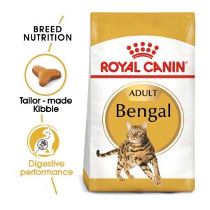 Bengal Adult