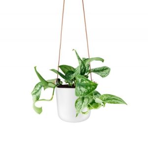 Eva Solo sjálfsvökvandi pottur, upphengjanlegur hvítur