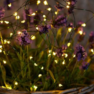 Knirke 40 ljósa sería, grænn vír - hvít ljós, batt úti