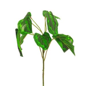 Peacock stem gervigrein