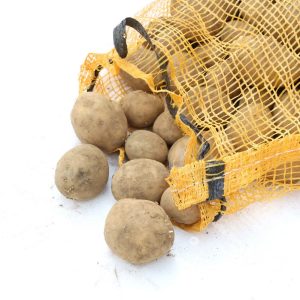 Útsæði Premier 5kg