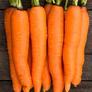 Gulrætur - Napoli F1