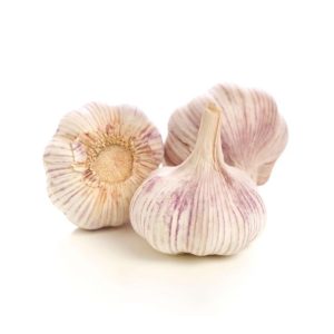 Thermidrome - hvítlaukur