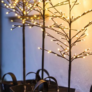 Noah ljósatré svart, hvít ljós  - úti