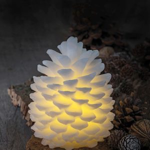 Clara vaxköngull frá Sirius - batt