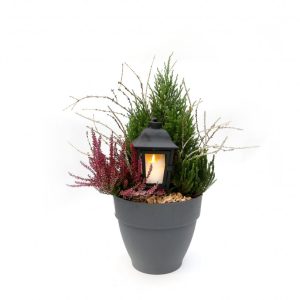 Útiskreyting með lukt