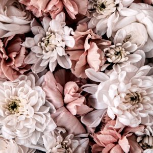 Kort - Fyllir út í kort