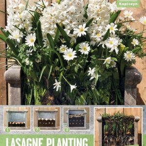 Lasange Plant White - hvítir, 40 stk