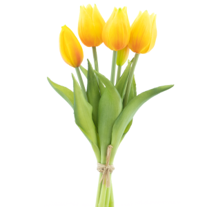 Túlípanar Ruisdael