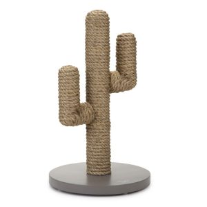 Klórustaur Kaktus - natur