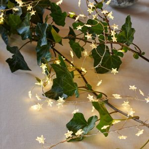 Trille cluster 160 ljósa stjörnusería - hvít ljós