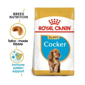 Cocker Puppy - 3kg