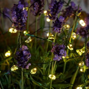 Maggie 40 ljósa sería, grænn vír - hvít ljós, batt úti