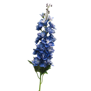 Delphinium Diva - dökkblátt