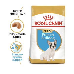 French Bulldog Puppy - 3kg