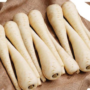 Pastinakka - Javelin F1