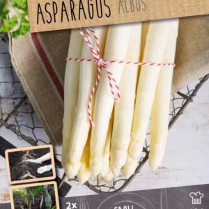 Asparagus, 2 stk