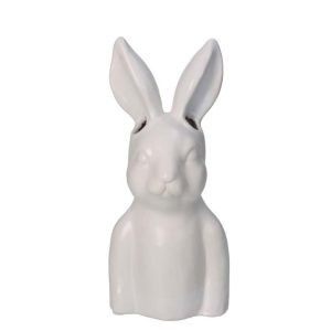 Kanínuvasi - hvítur