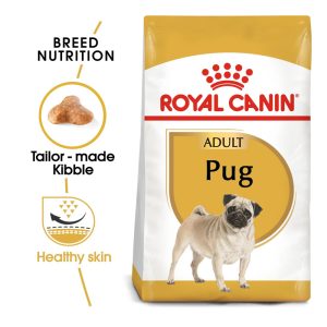 Pug Adult