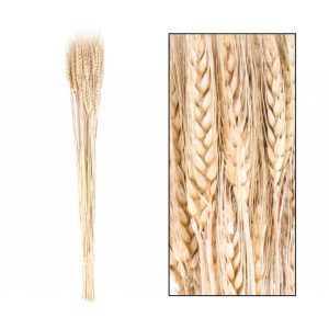 Wheat strá - nature