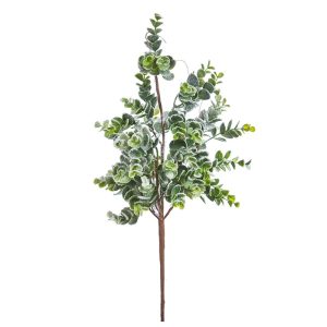 Eucalyptus grein með snjó