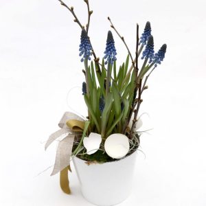 Perluliljuskreyting - Dögg