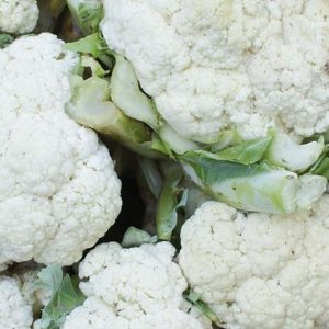 Blómkál - Cauliflower