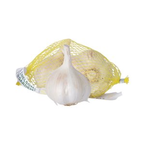 Therador hvítlaukur