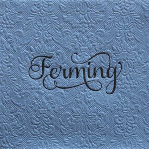 Jeans blue upphleyptar servíettur - svart letur