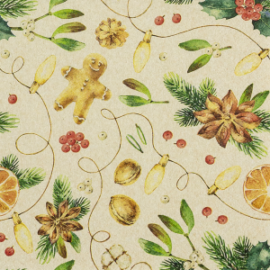 Servíettur - Cosy Feeling