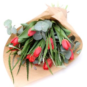 Túlípanar með grænu