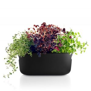 Eva Solo sjálfvökvandi fræbakki, svartur