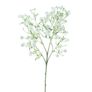 Brúðarslör Viette