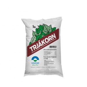 Trjákorn