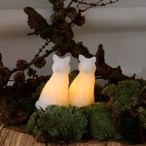 Edda refir frá Sirius, 2 stk - batt