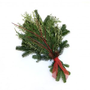 Vistvæn leiðisgrein