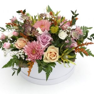 Blóm í öskju - Ljómar