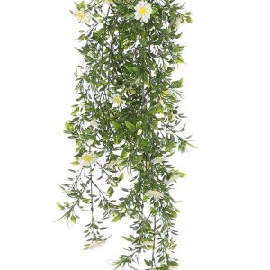 Daisy hengivöndur - hvítur