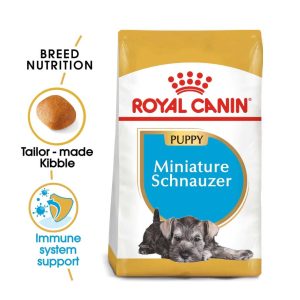 Miniature Schnauzer Puppy - 1,5kg